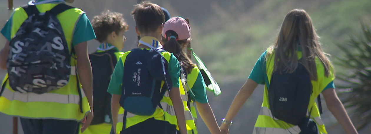 Imagem de Movimento escutista continua a ser atrativo para os mais pequenos (vídeo)