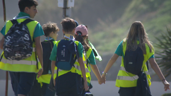 Imagem de Movimento escutista continua a ser atrativo para os mais pequenos (vídeo)