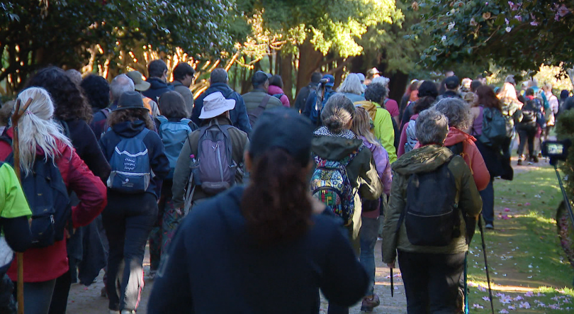 Imagem de Associação do Caminho Real pede mais limpeza em alguns caminhos (vídeo)