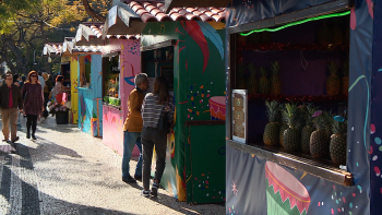 Imagem de Festa de carnaval na Placa Central chega ao fim (vídeo)