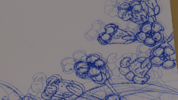 Imagem de Galeria Impulso apresenta a exposição ‘Anil da Terra’, de Merícia Dantas (vídeo)