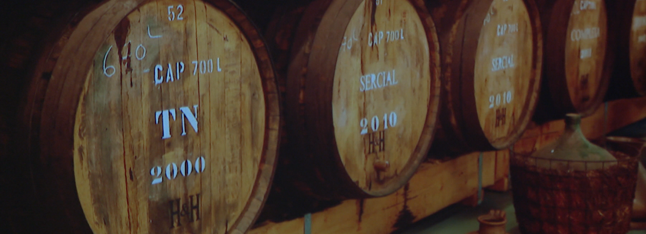 Imagem de Aumentos para os viticultores (vídeo)