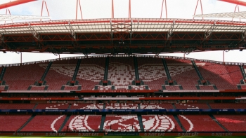 Imagem de Sindicato condena agressões a jornalistas da CMTV por trabalhador e adeptos do Benfica