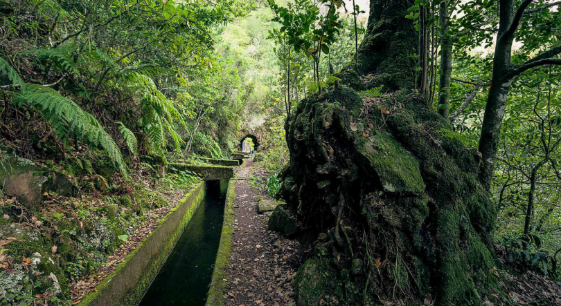 Imagem de Jovens turistas dinamarqueses resgatados nas serras de São Vicente