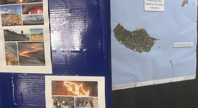 Imagem de EBS Machico realiza exposição sobre a tradição dos Fachos