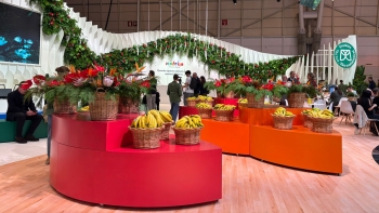 Imagem de Bolsa de Turismo de Lisboa é agora designada por Better Tourism Lisbon (vídeo)