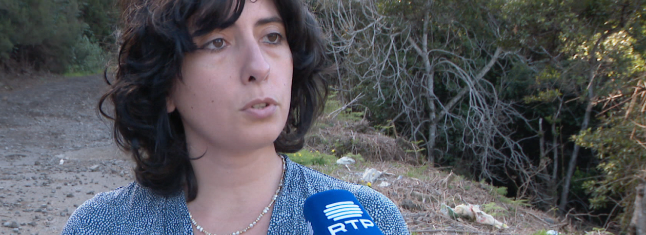 Imagem de Associação saúda recuo nas Ginjas e pede limites na Laurissilva (vídeo)