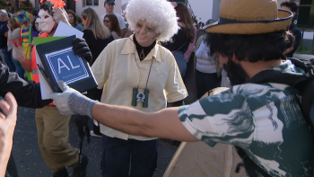 Imagem de Não faltaram críticas sociais e políticas no Caniço (vídeo)