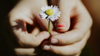 Imagem de Gratidão sem prazo (áudio)