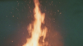 Imagem de Incêndio em autocarro no túnel do Curral das Freiras causa um ferido ligeiro