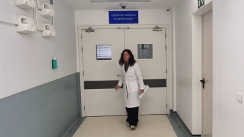 Imagem de Taxa de infertilidade na Madeira ronda os 15% (áudio)