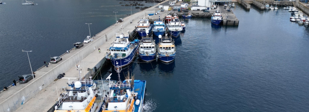 Imagem de Coopesca pede mais apoios para o setor na Região (áudio)