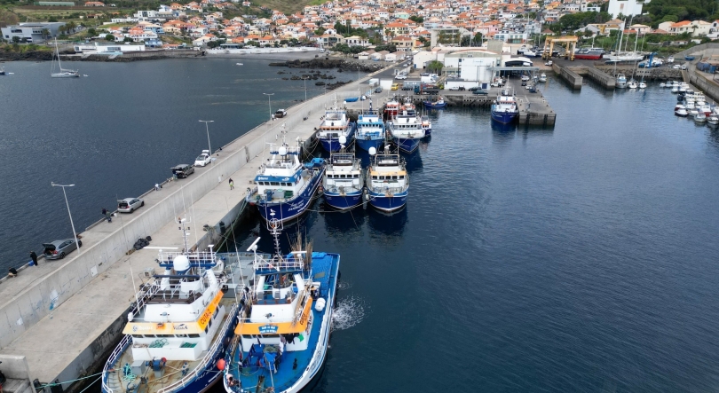 Imagem de Governo Regional quer aumentar os limites de potência para a renovação das frotas pesqueiras (áudio)