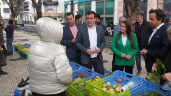 Imagem de JPP quer condições dignas para Mercado de Agricultura Biológica do Funchal (áudio)