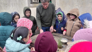 Imagem de Crianças semeiam cereais no Jardim da Serra (áudio)