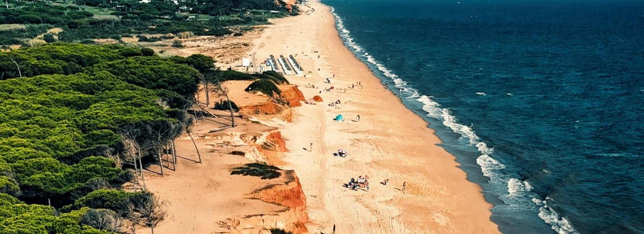Imagem de Madeira vai ter voos diretos para Faro o ano inteiro (vídeo)