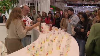 Imagem de Preço das ligações aéreas alvo de críticas na BTL (vídeo)