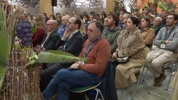 Imagem de Mais dinheiro para os viticultores (áudio)