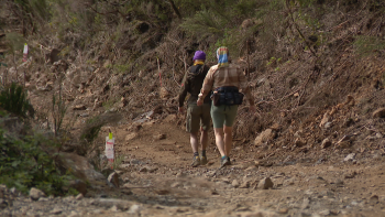 Imagem de SPEA satisfeita com a suspensão do projeto para o caminho das Ginjas (vídeo)