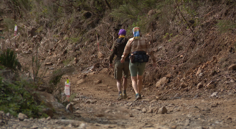 Imagem de SPEA satisfeita com a suspensão do projeto para o caminho das Ginjas (vídeo)