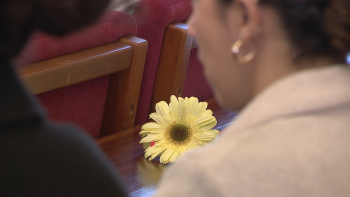 Imagem de Madeira tem oito a nove casos de cancro infantil todos os anos (vídeo)