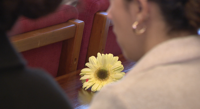 Imagem de Madeira tem oito a nove casos de cancro infantil todos os anos (vídeo)