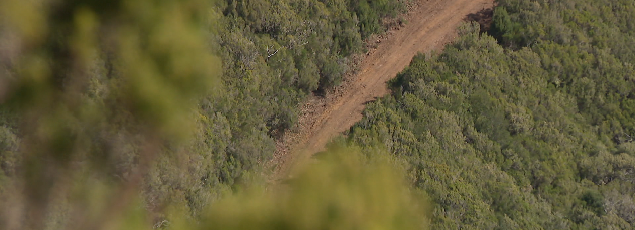 Imagem de Governo Regional confirma a suspensão do projeto do Caminho das Ginjas (vídeo)