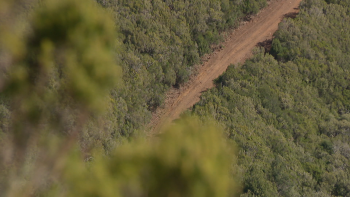 Imagem de Governo Regional confirma a suspensão do projeto do Caminho das Ginjas (vídeo)