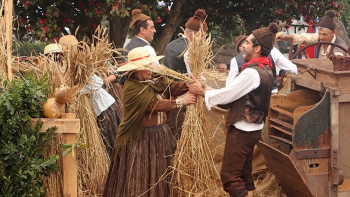 Imagem de Santana volta a ser palco da Festa dos Compadres (áudio)