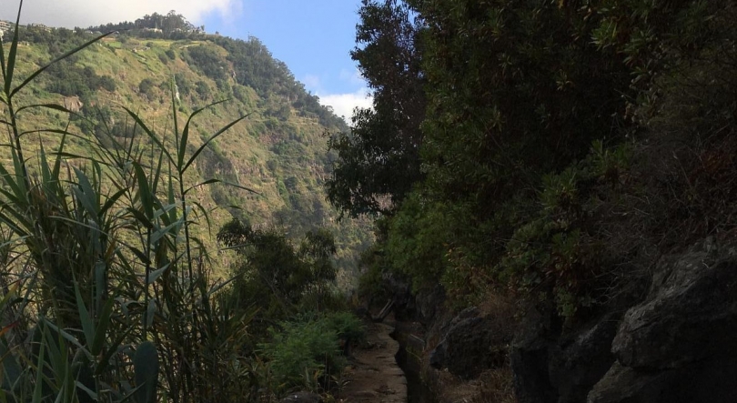 Imagem de Turista alemão sobrevive a queda de 50 metros no Curral das Freiras