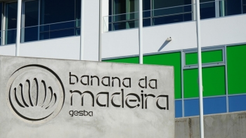Imagem de Centro de Processamento de Banana da Ponta do Sol já está pago (áudio)
