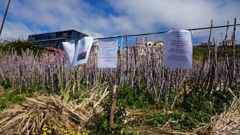 Imagem de JPP diz que preço da cana “é escravatura” (áudio)