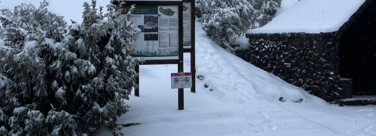 Imagem de Neve caiu durante a noite e a manhã (vídeo)