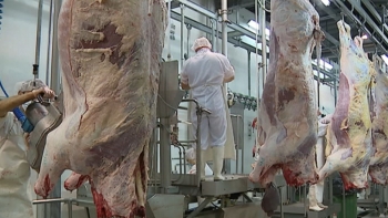 Imagem de Negociações arrancam com perspetiva de acordo até agosto (áudio)