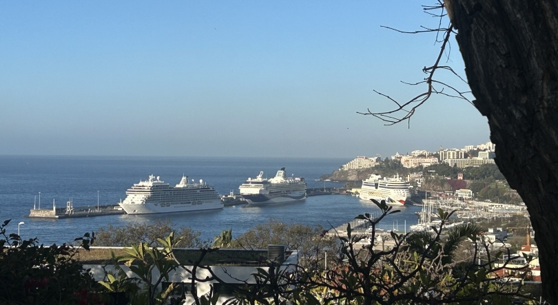 Imagem de Escala de navios traz milhares de visitantes ao Funchal