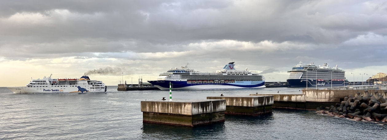 Imagem de Porto do Funchal a movimentar mais de oito mil pessoas