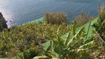 Imagem de “Gestos verdes – pomar biológico” é um projeto inclusivo (vídeo)