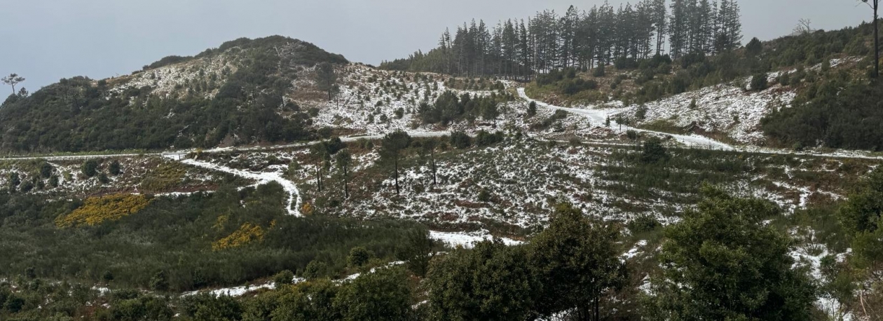 Imagem de ‘Therese’ chega com queda de neve à Madeira (áudio)