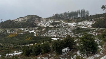 Imagem de ‘Therese’ chega com queda de neve à Madeira (áudio)