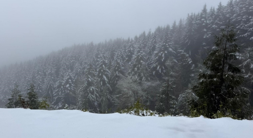Imagem de Neve cobre zonas montanhosas da Madeira