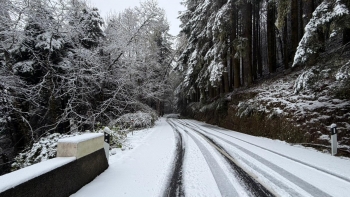 Imagem de Neve leva ao encerramento de estradas e percursos pedestres na Madeira (áudio)