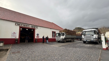 Imagem de Engenho do Porto da Cruz começou hoje a laborar (áudio)