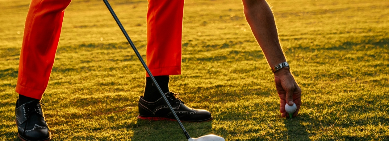 Imagem de Vender ou concessionar, eis a questão (áudio)