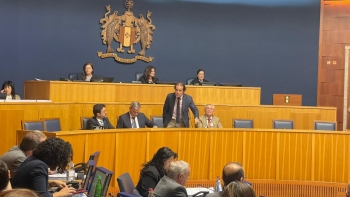 Imagem de Madeira tem crescimento consecutivo há 58 meses (vídeo)