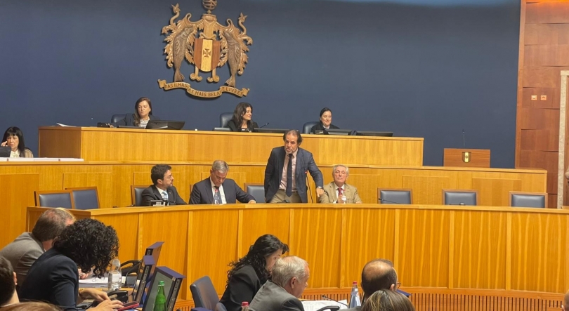 Imagem de Madeira tem crescimento consecutivo há 58 meses (vídeo)