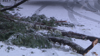 Imagem de Proteção Civil regista dezenas de ocorrências na Madeira (áudio)