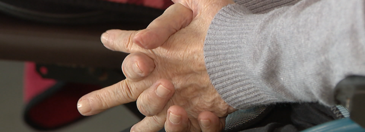 Imagem de IPSS da Madeira vão recuperar metade do IVA de investimentos do PRR (vídeo)