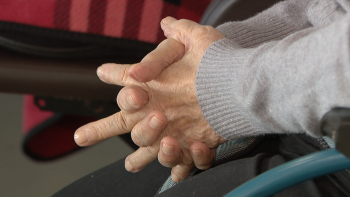 Imagem de IPSS da Madeira vão recuperar metade do IVA de investimentos do PRR (vídeo)