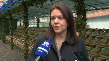 Imagem de PS exige esclarecimentos sobre alegada fraude com verbas do PRODERAM (vídeo)