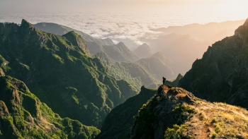 Imagem de Procura elevada pode levar a mudanças nos apoios do IDE (áudio)
